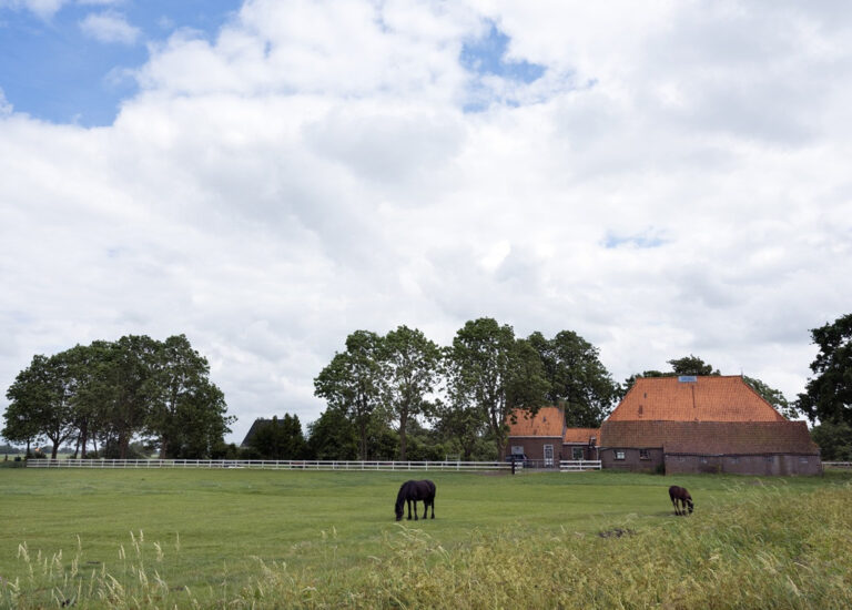 Woonboerderij met schuur, paardenbak en weiland 10,4% of 2% overdrachtsbelasting